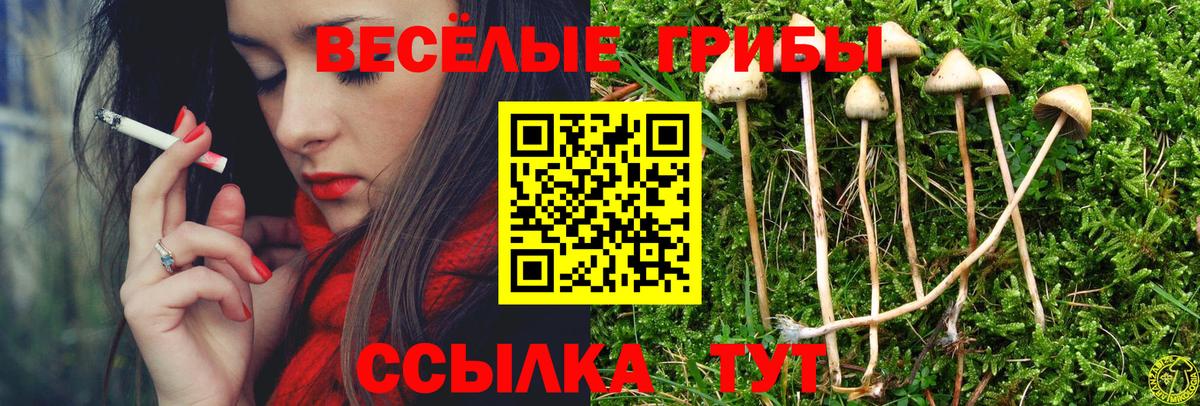 Благовещенск  Псилоцибиновые грибы Magic Shrooms  Вход с VPN  Псилоцибиновые грибы прущие грибы 